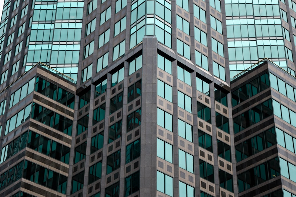 mirrored building