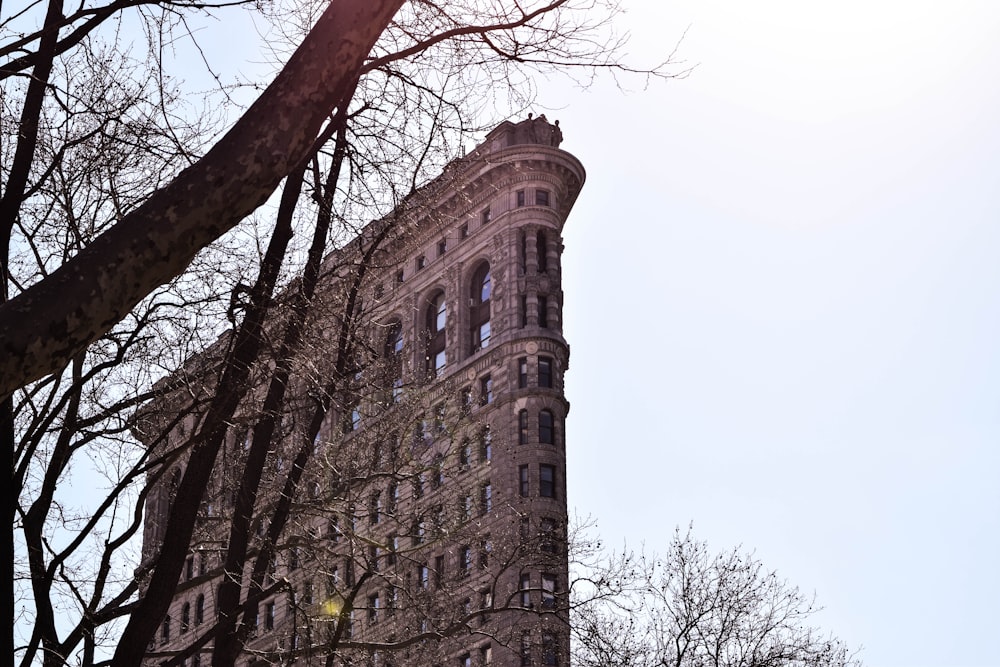 brown tall corner building