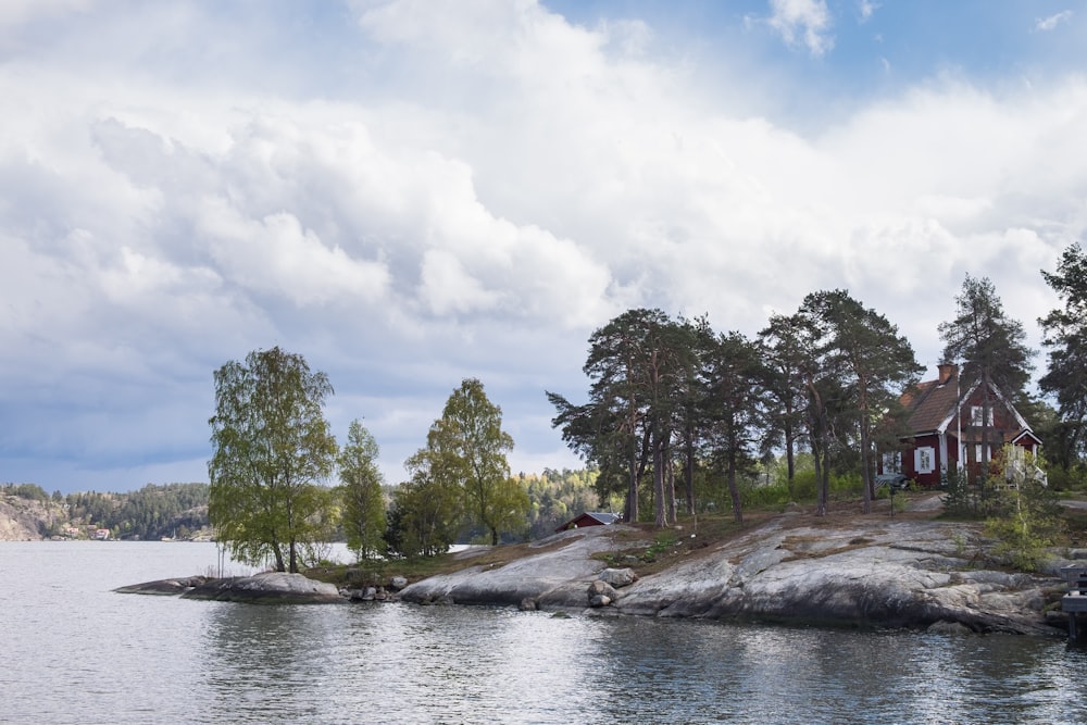 green trees near lake