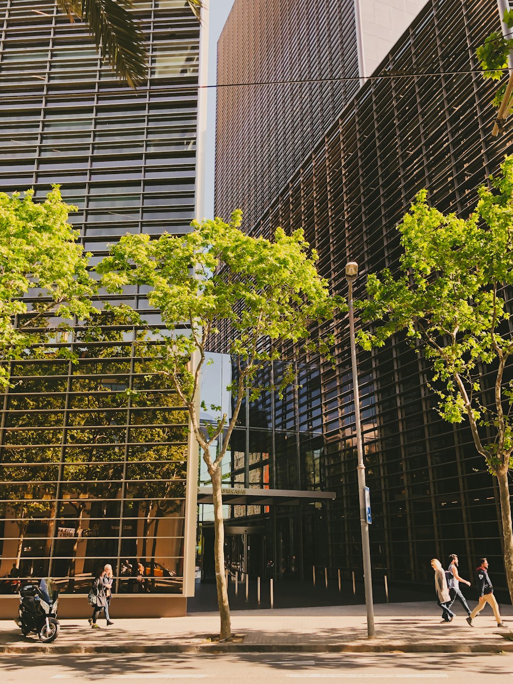 people walking on sidewalk near green trees