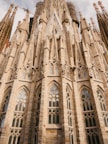 brown cathedral
