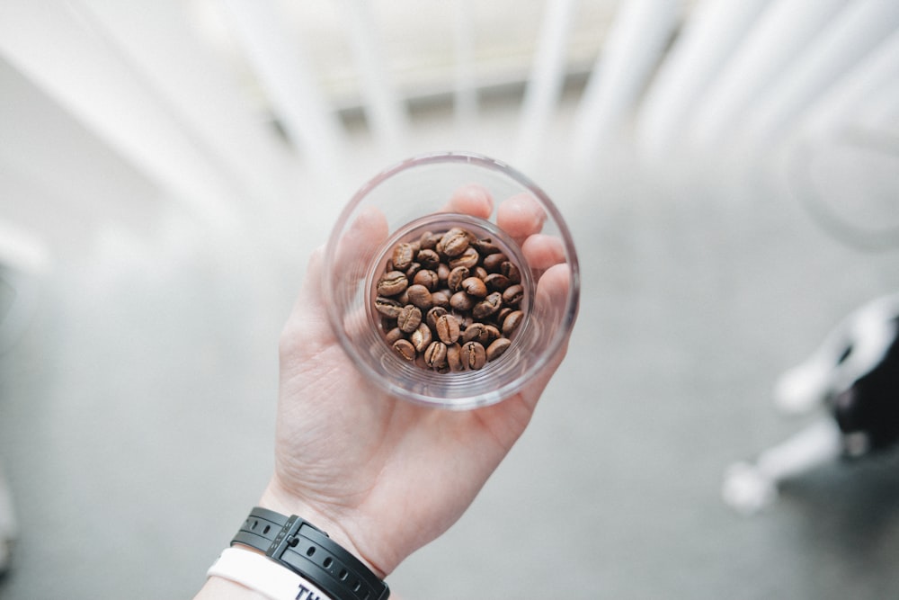 person holding clear drinking glass with filled of coffee beans