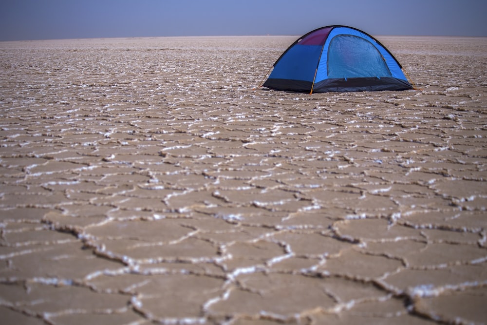 brown tent on shore during datime