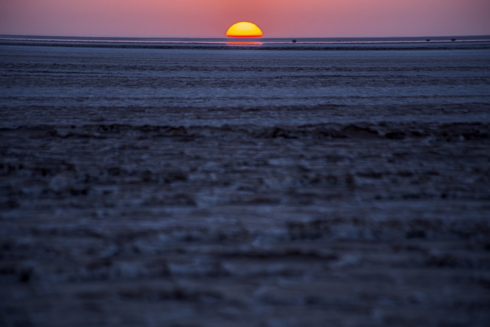 seashore during golden hour