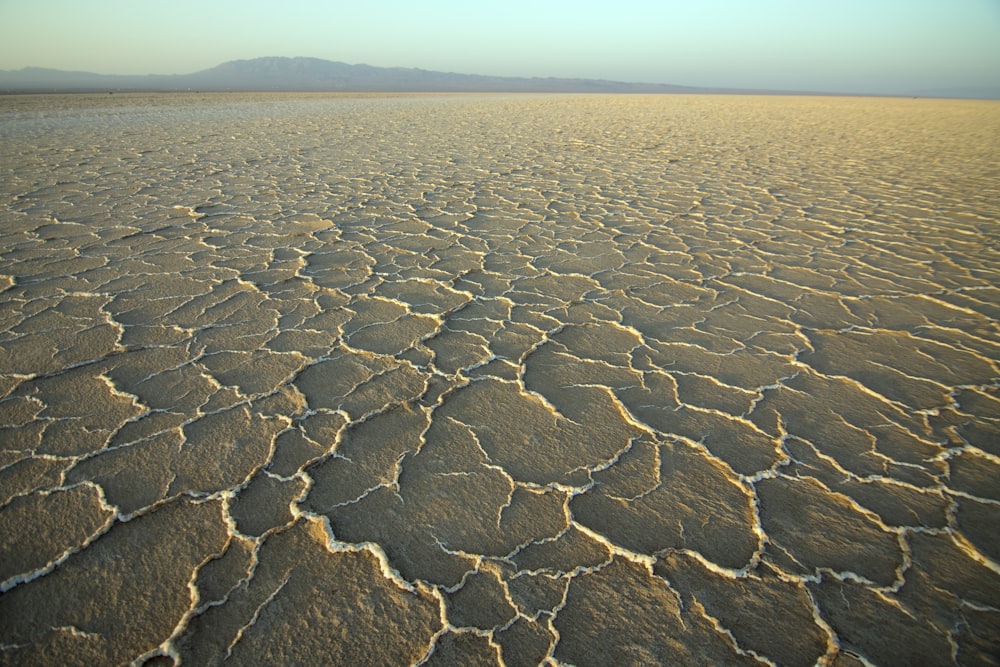 desert during daytime