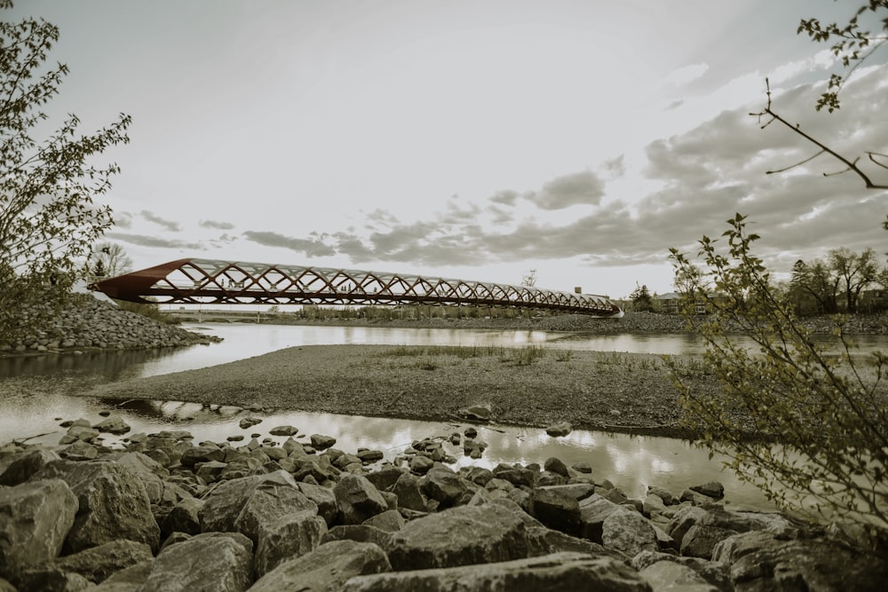 bridge during daytime