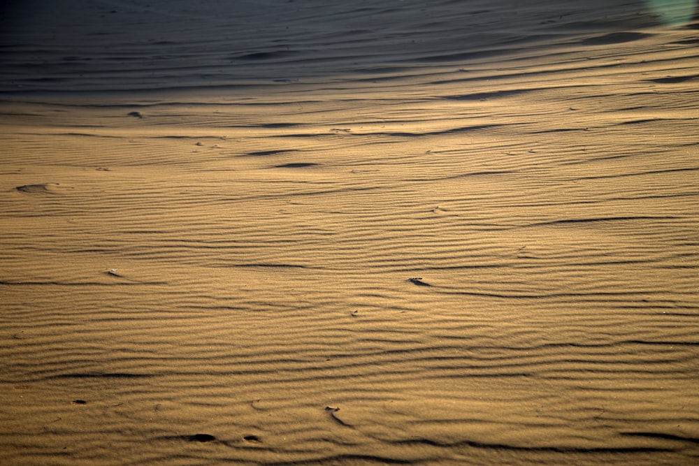 brown sand