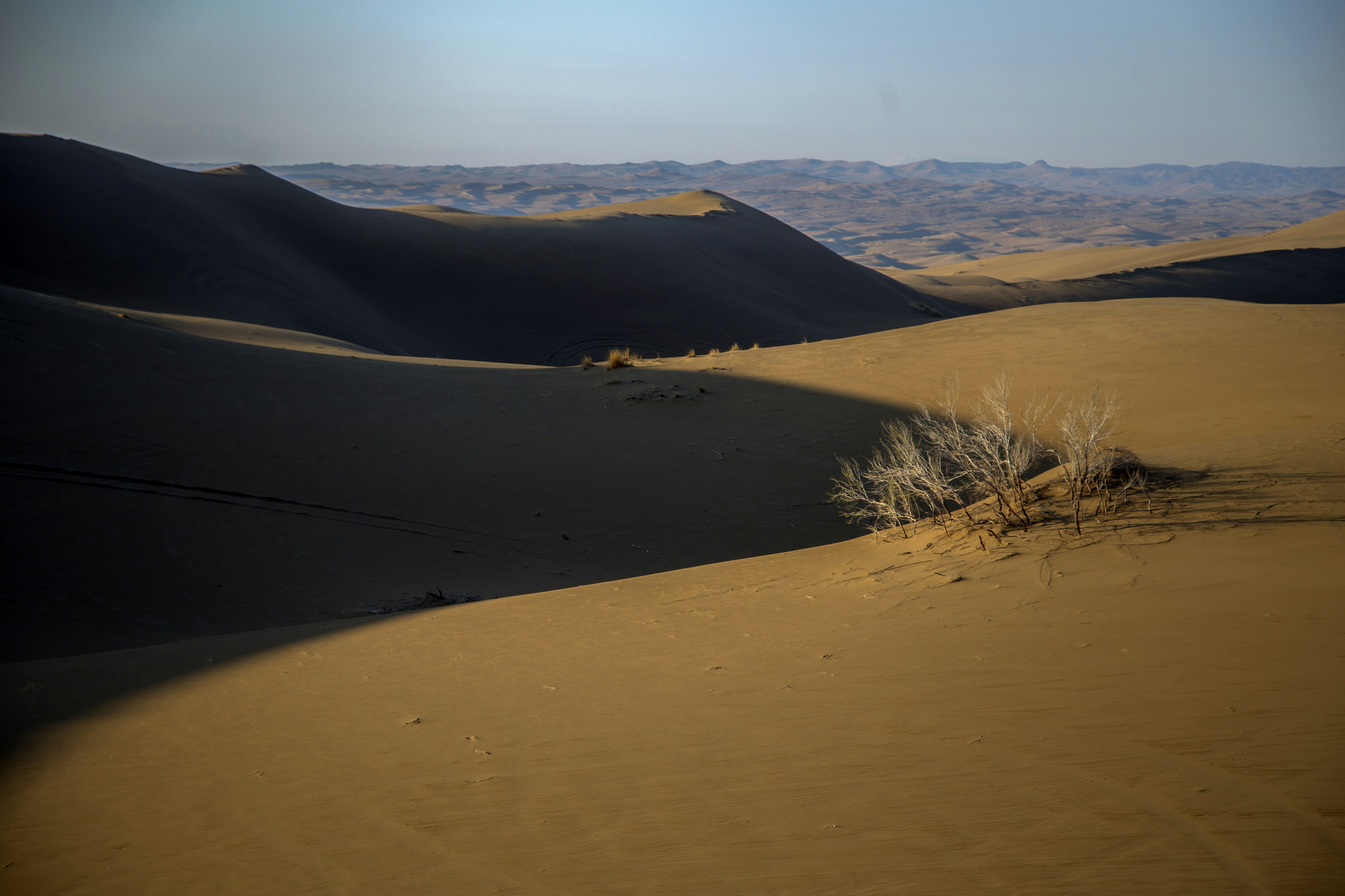 menopausal relief supplements