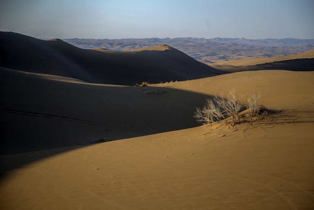 Desierto marrón