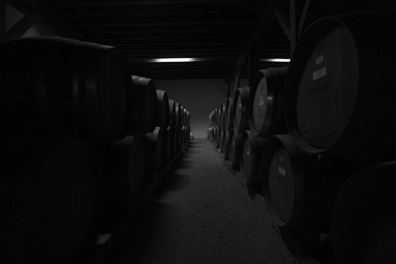 Barricas en bodega