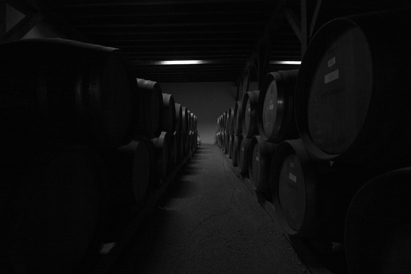 Hattingley Valley vineyard