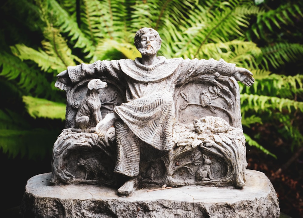 man sitting on bench beside puppy and cat statue