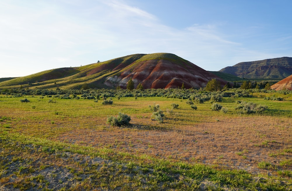 green mountain