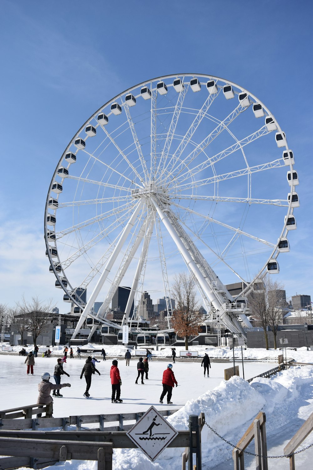 people on ice skating near Ferris wheel during day