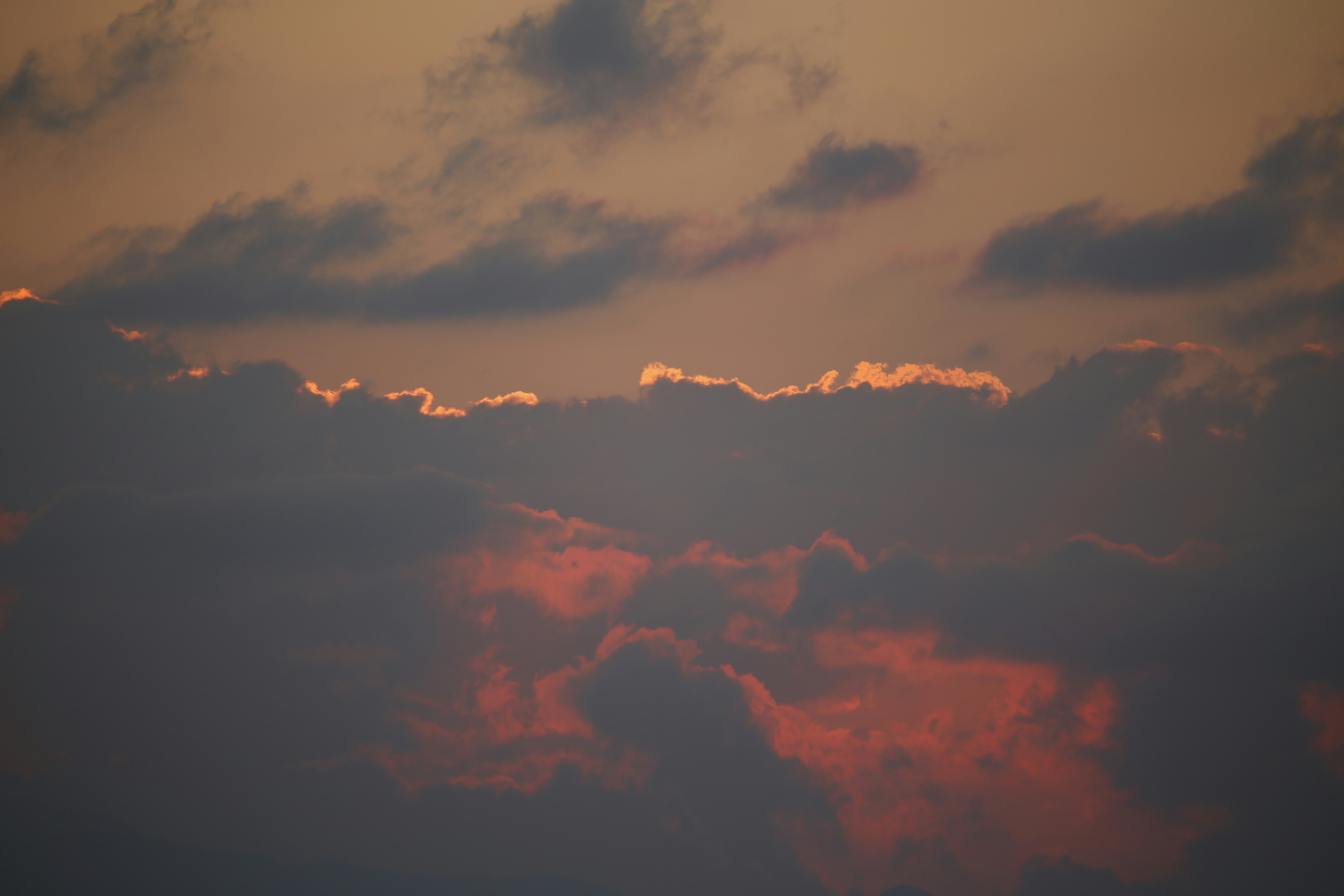 Photo by marcusdallcol