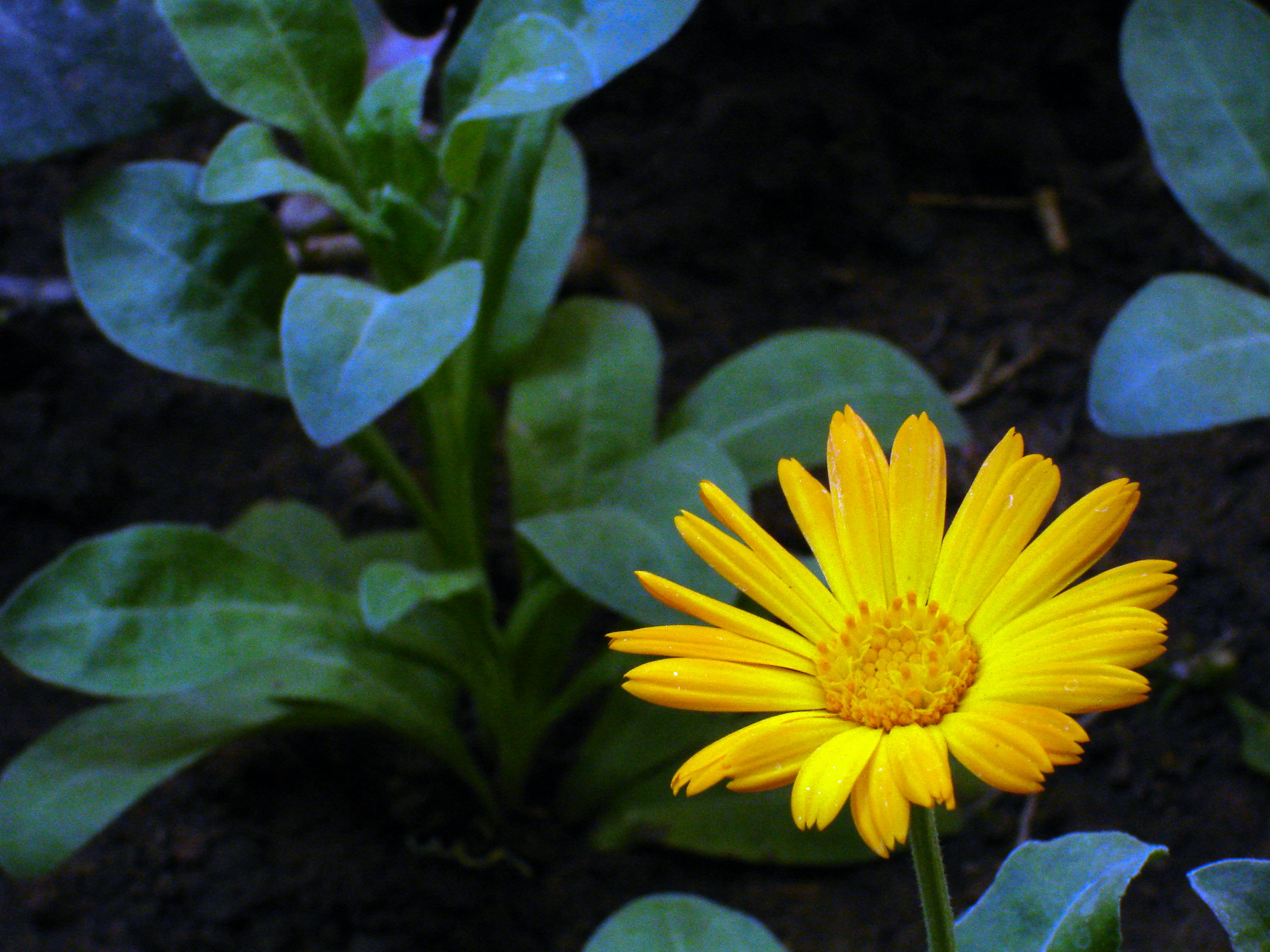 Photo by mostafa_meraji