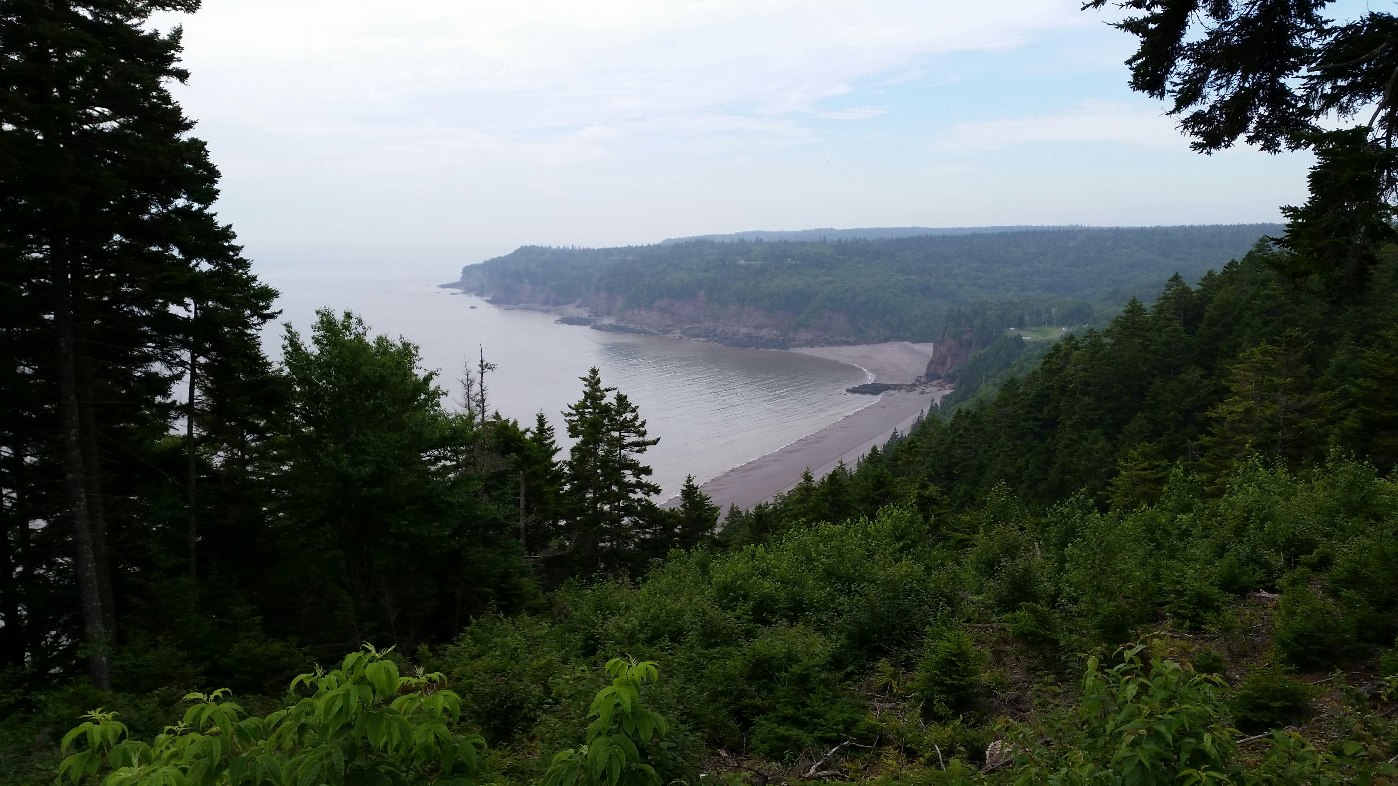 Photo by edcrockerphotos