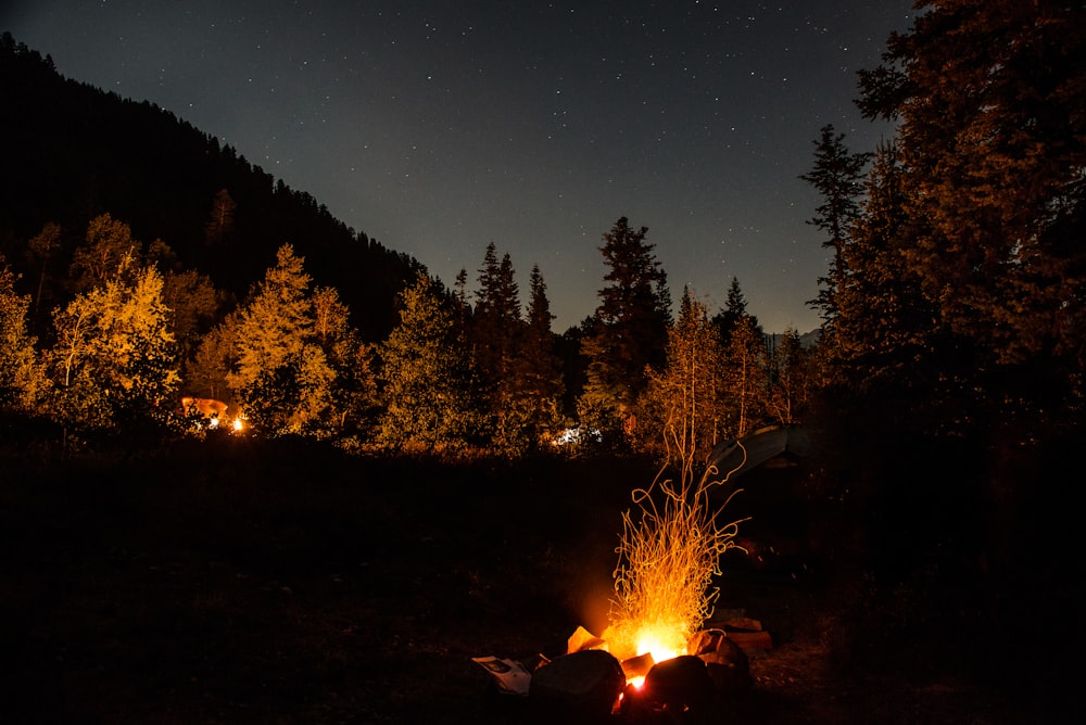 wood burning at night
