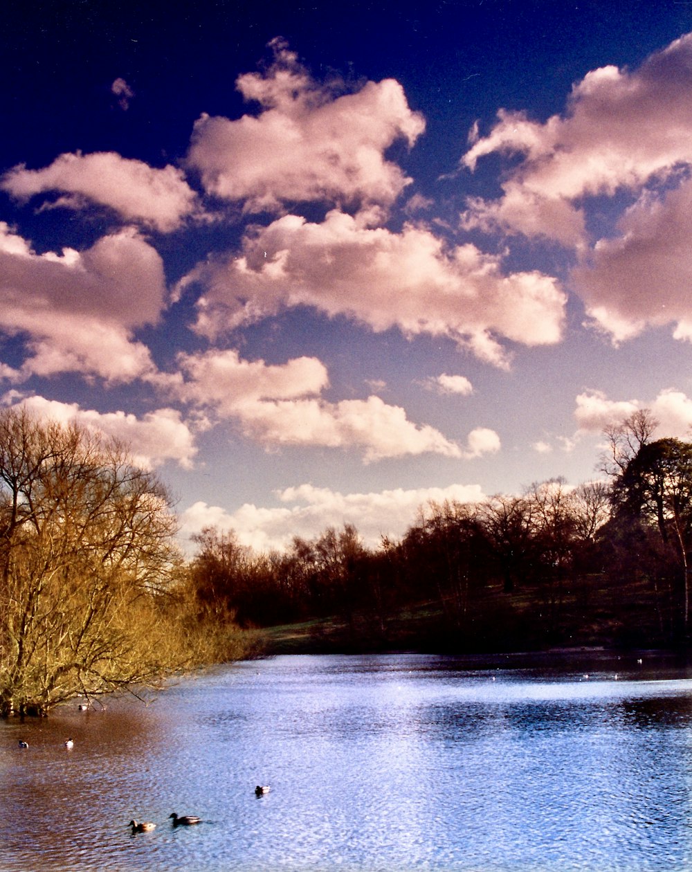 river under cloudy day