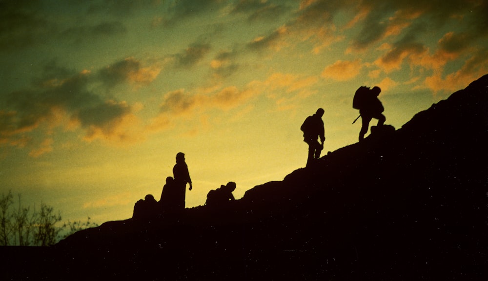 silhouette of people trekking during golden hour