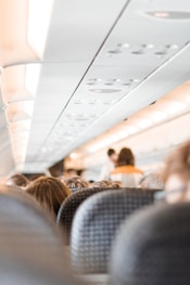 flying with emotional support animal ESA tips