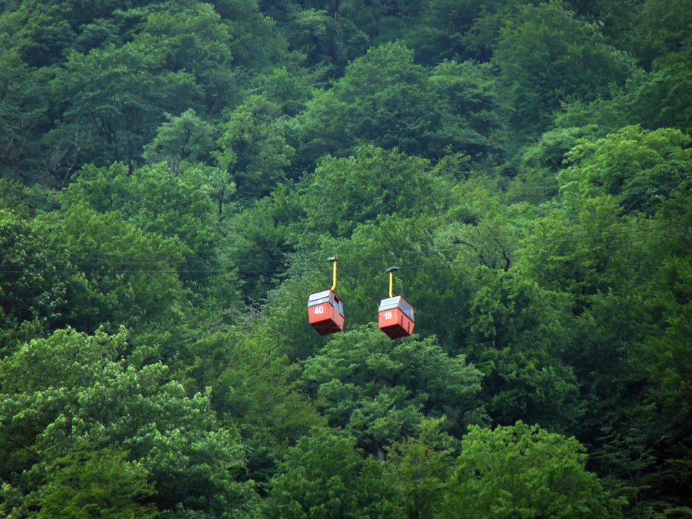 red-and-gray cable cars over green trees