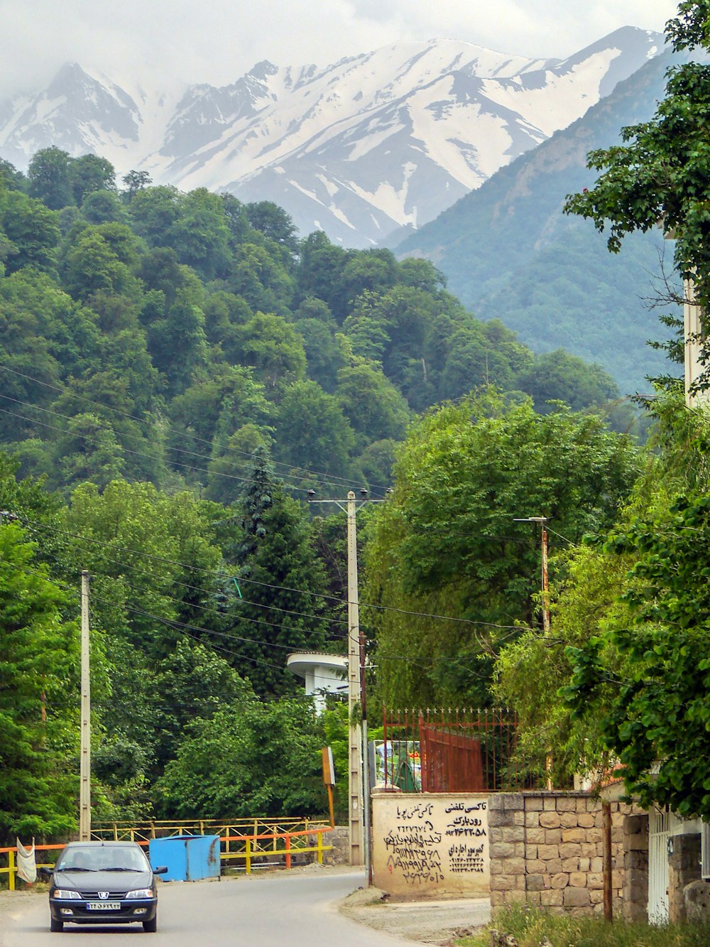 black car on road with trees and mountain behind