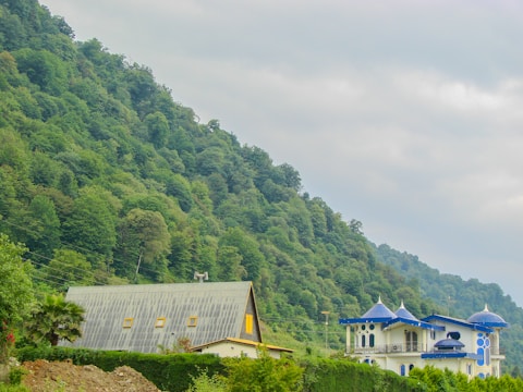 Architectural blueprint overlaying a lush green hillside site.