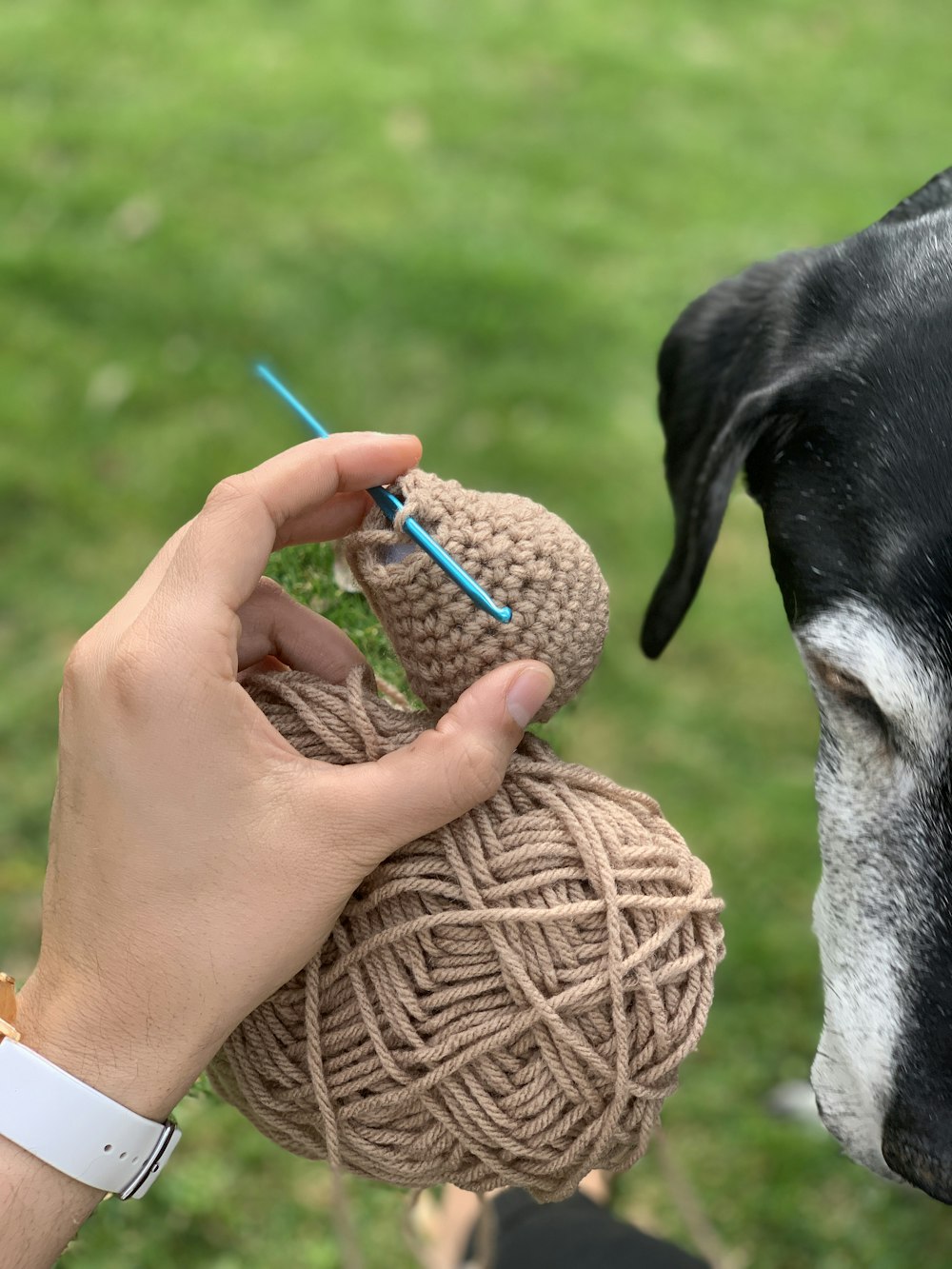 brown ball yarn