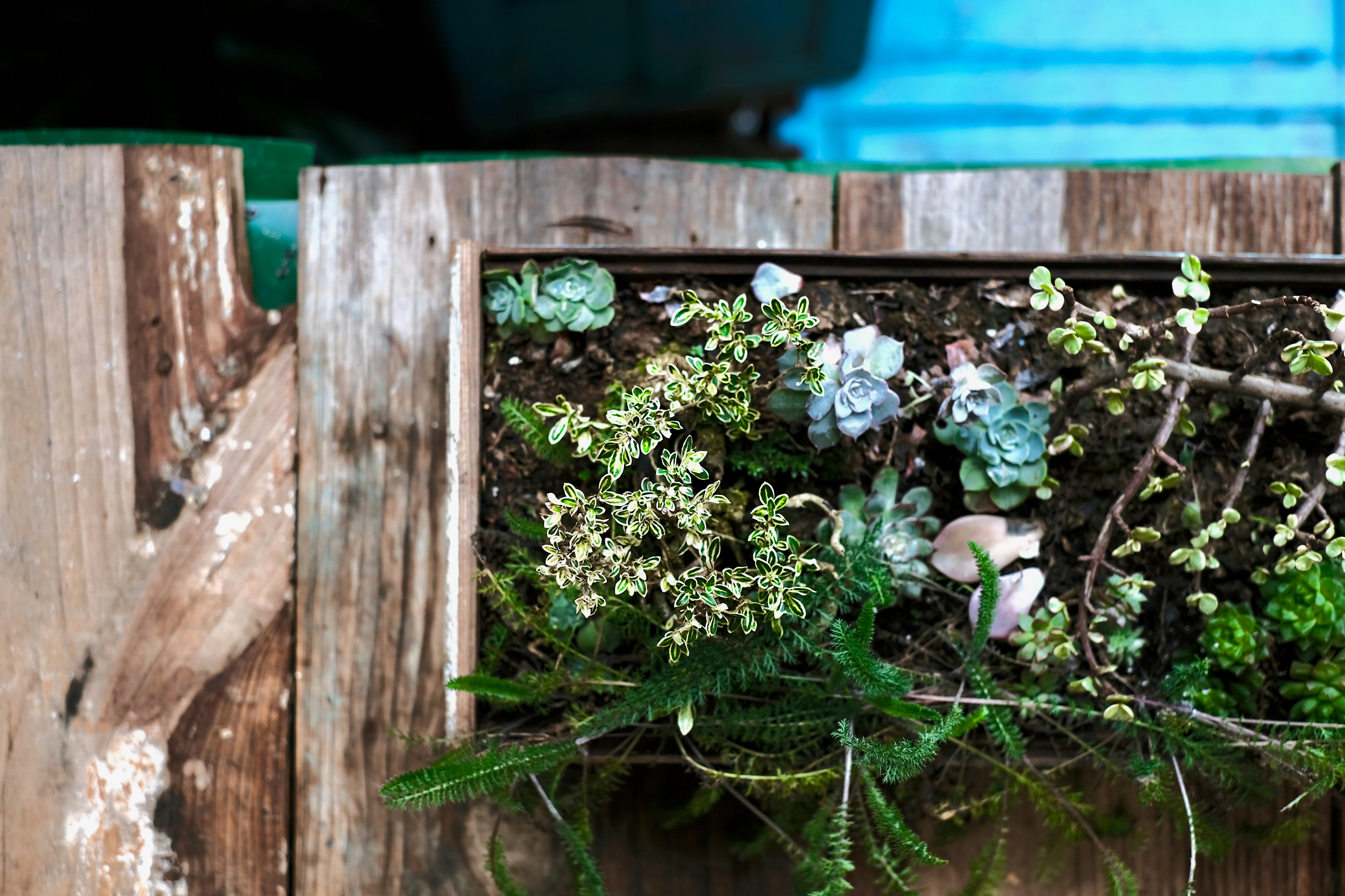 Build a DIY Wooden Planter Box in 2 Hours for Under $40 to Enhance Outdoor Curb Appeal