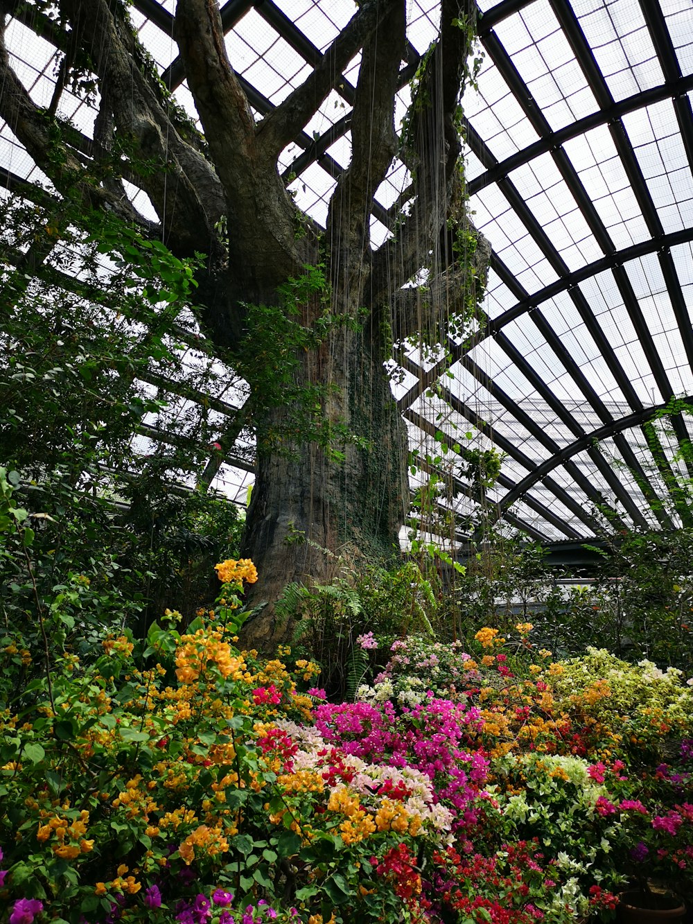 tree surrounded by flowers