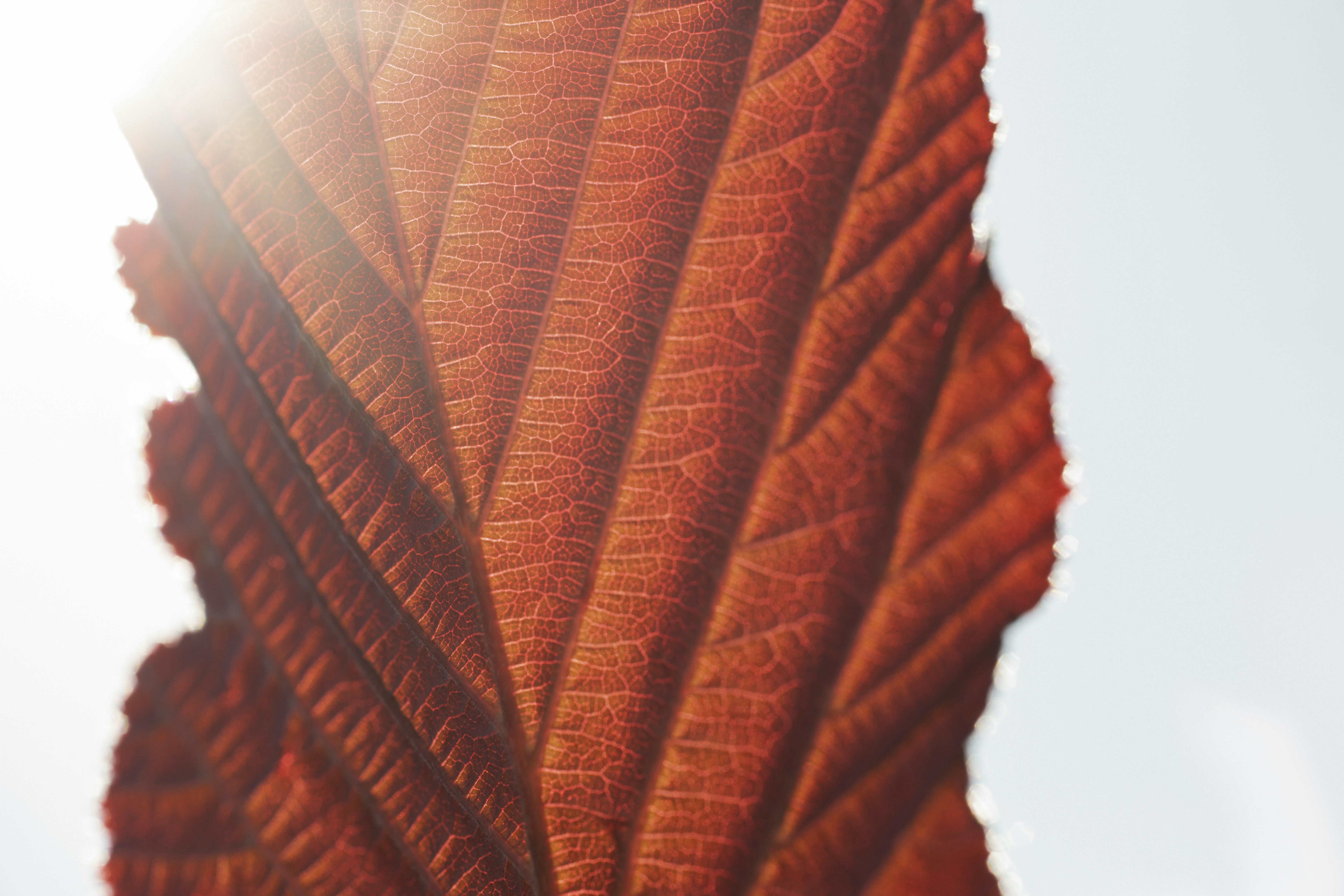 Photo by markusspiske