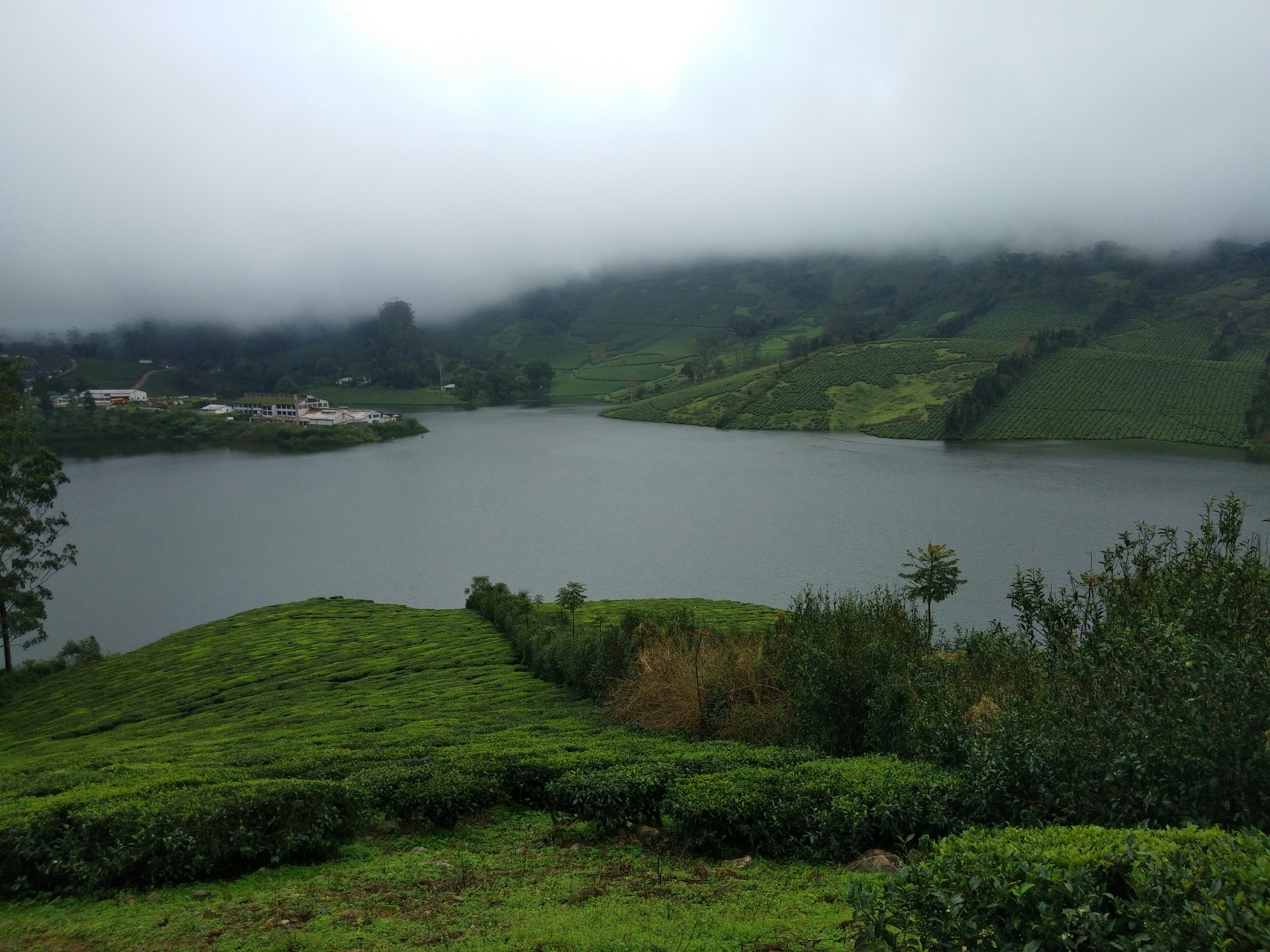 Mirik lake surrounded by pine trees and tea gardens in the hills