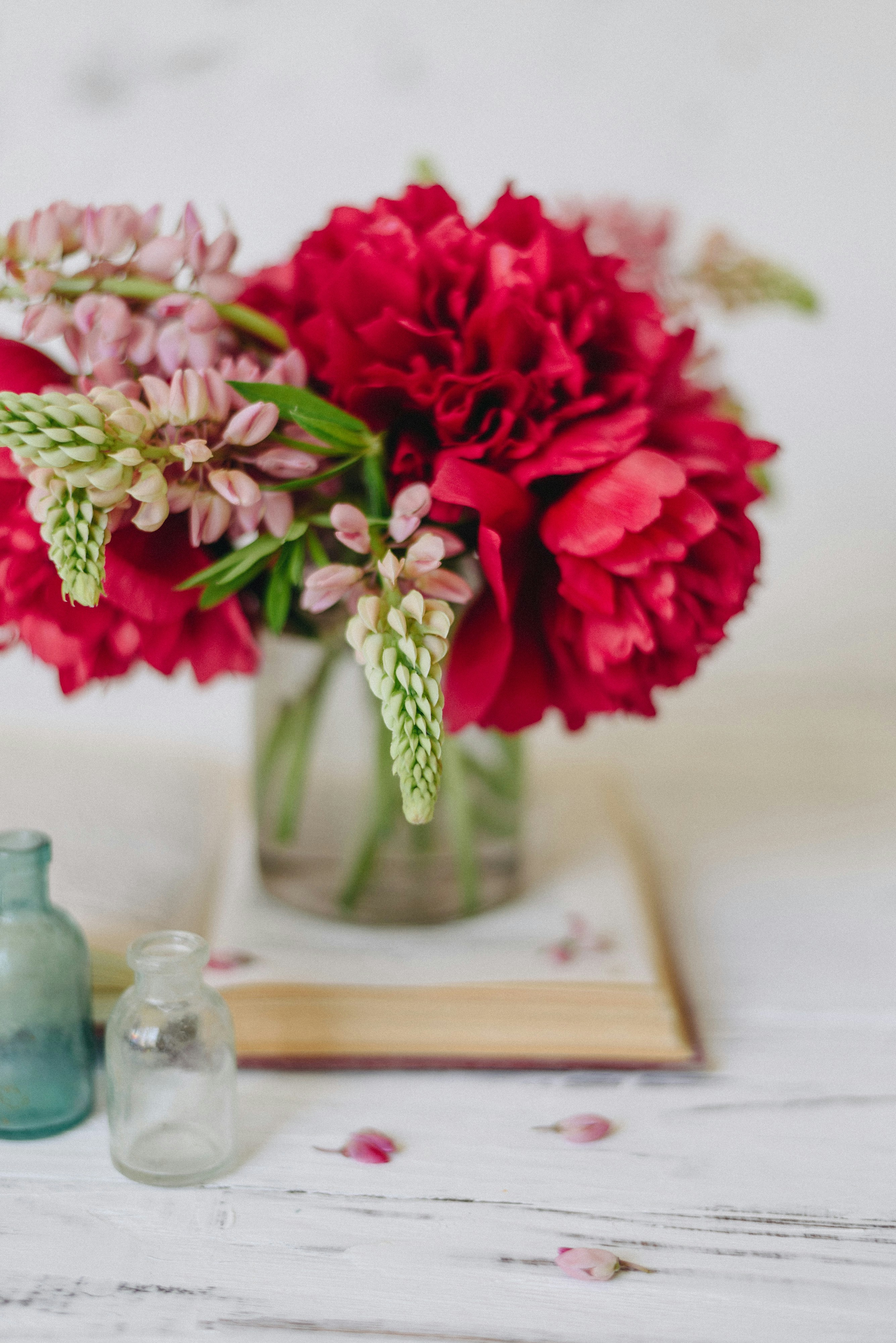 Photo by shadrinaphotography