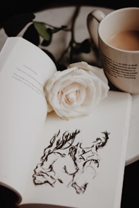 Dragon & Cat Journal
