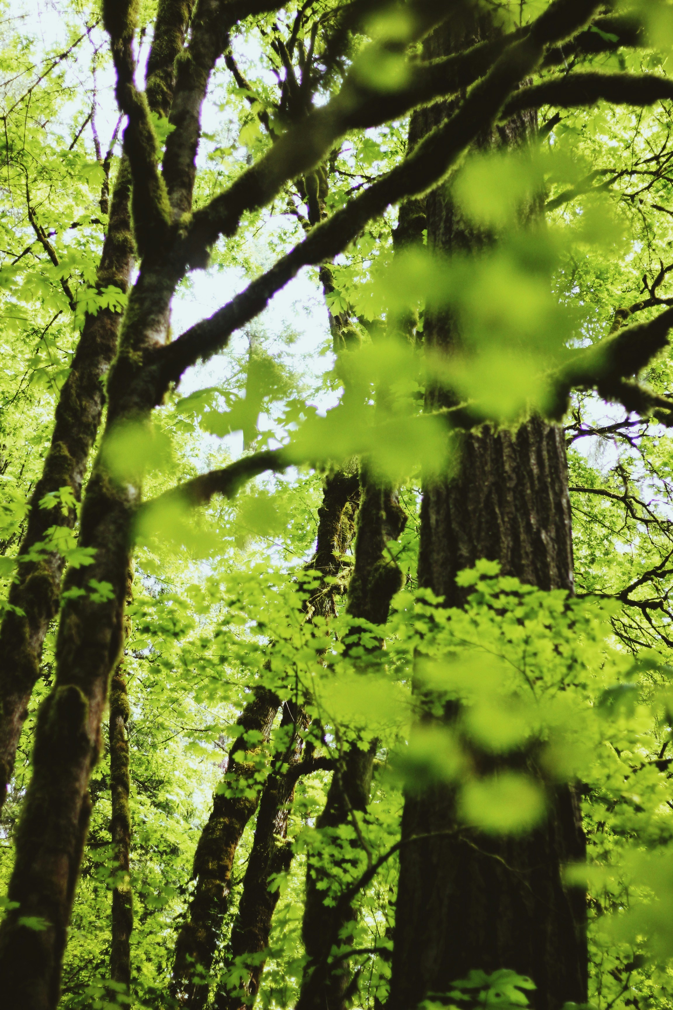 Photo by earthtokarly