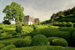 A serene landscape featuring an elegantly manicured garden with a variety of neatly trimmed hedges and topiaries. A charming rustic house with a stone exterior and a steep roof is nestled among the greenery. A large, lush tree stands beside the house, casting a gentle shadow over the garden. The sky is clear with subtle traces of clouds, contributing to the peaceful ambiance.