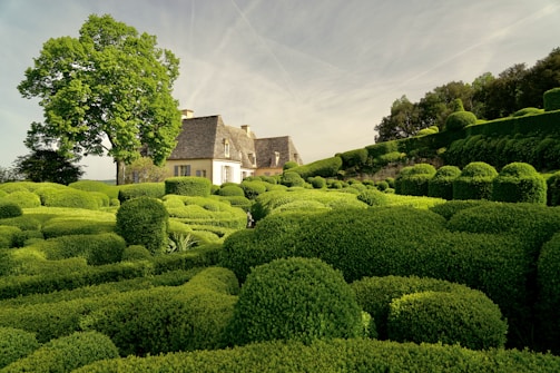 A serene landscape featuring an elegantly manicured garden with a variety of neatly trimmed hedges and topiaries. A charming rustic house with a stone exterior and a steep roof is nestled among the greenery. A large, lush tree stands beside the house, casting a gentle shadow over the garden. The sky is clear with subtle traces of clouds, contributing to the peaceful ambiance.