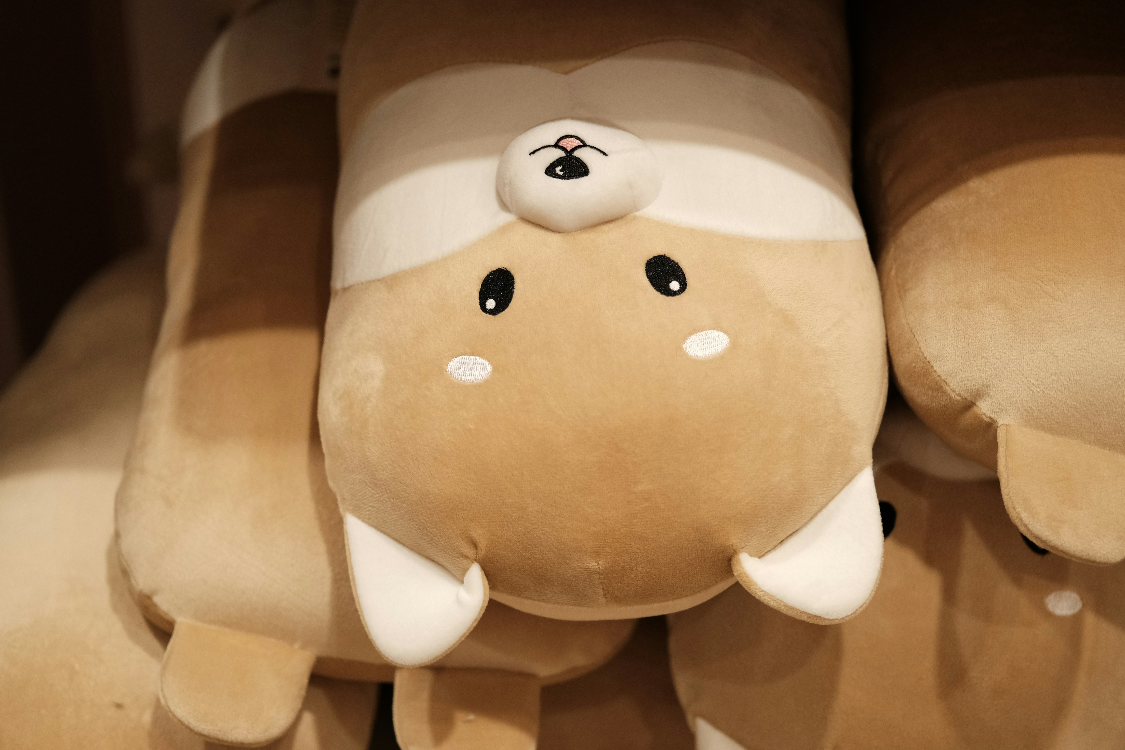 Photo by renichinguyen