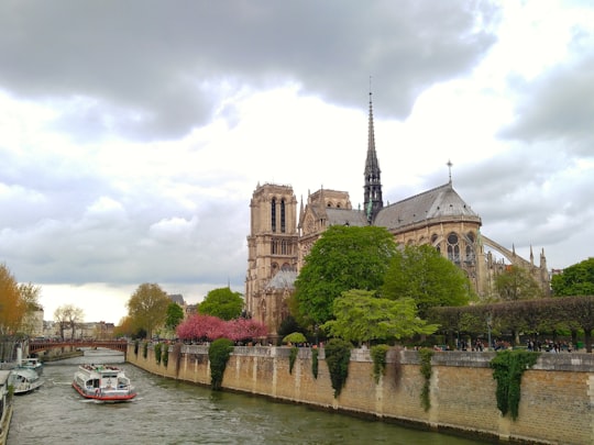 gray and brown concrete church beside river in Cathédrale Notre-Dame de Paris France