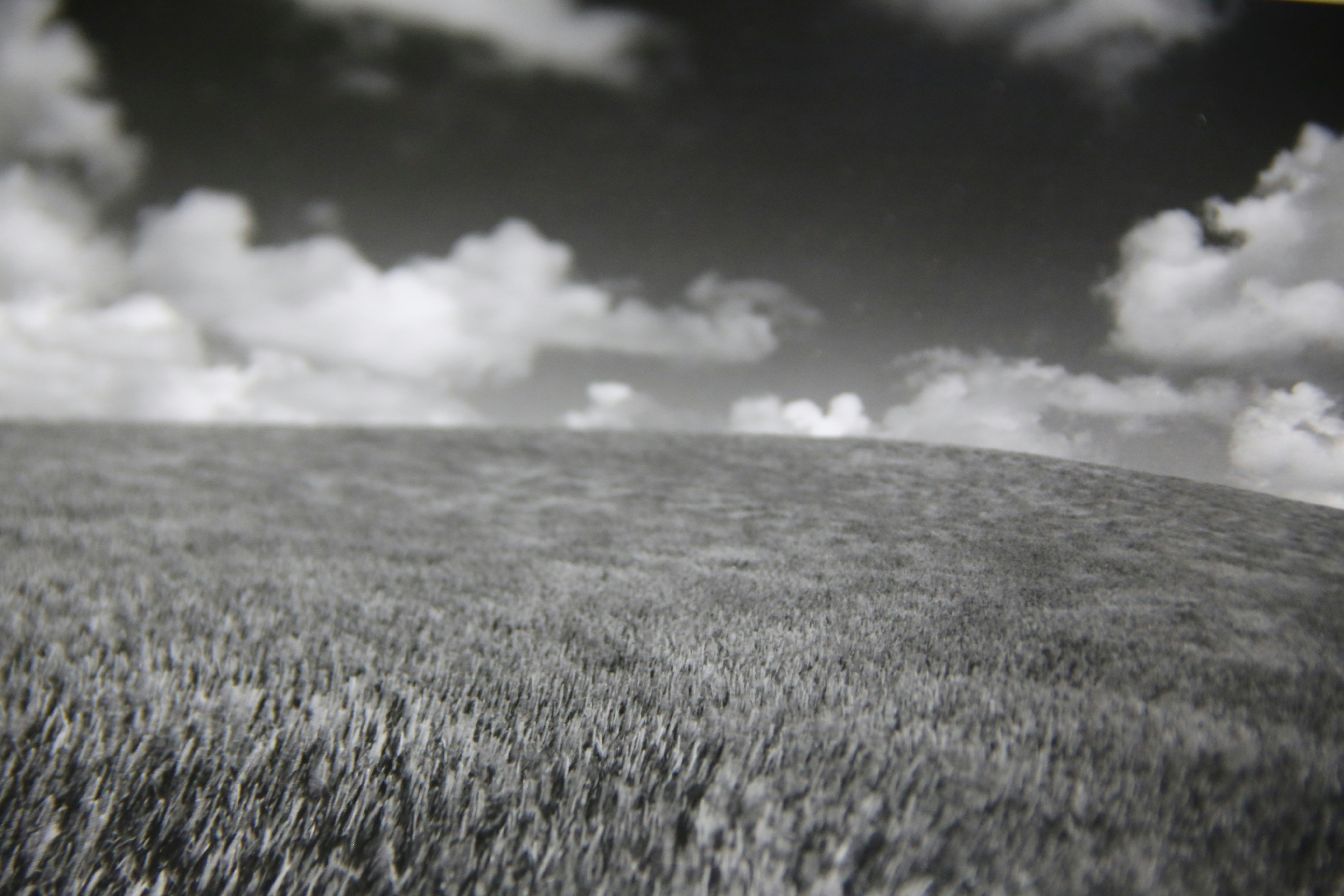 grayscale photography of grass field