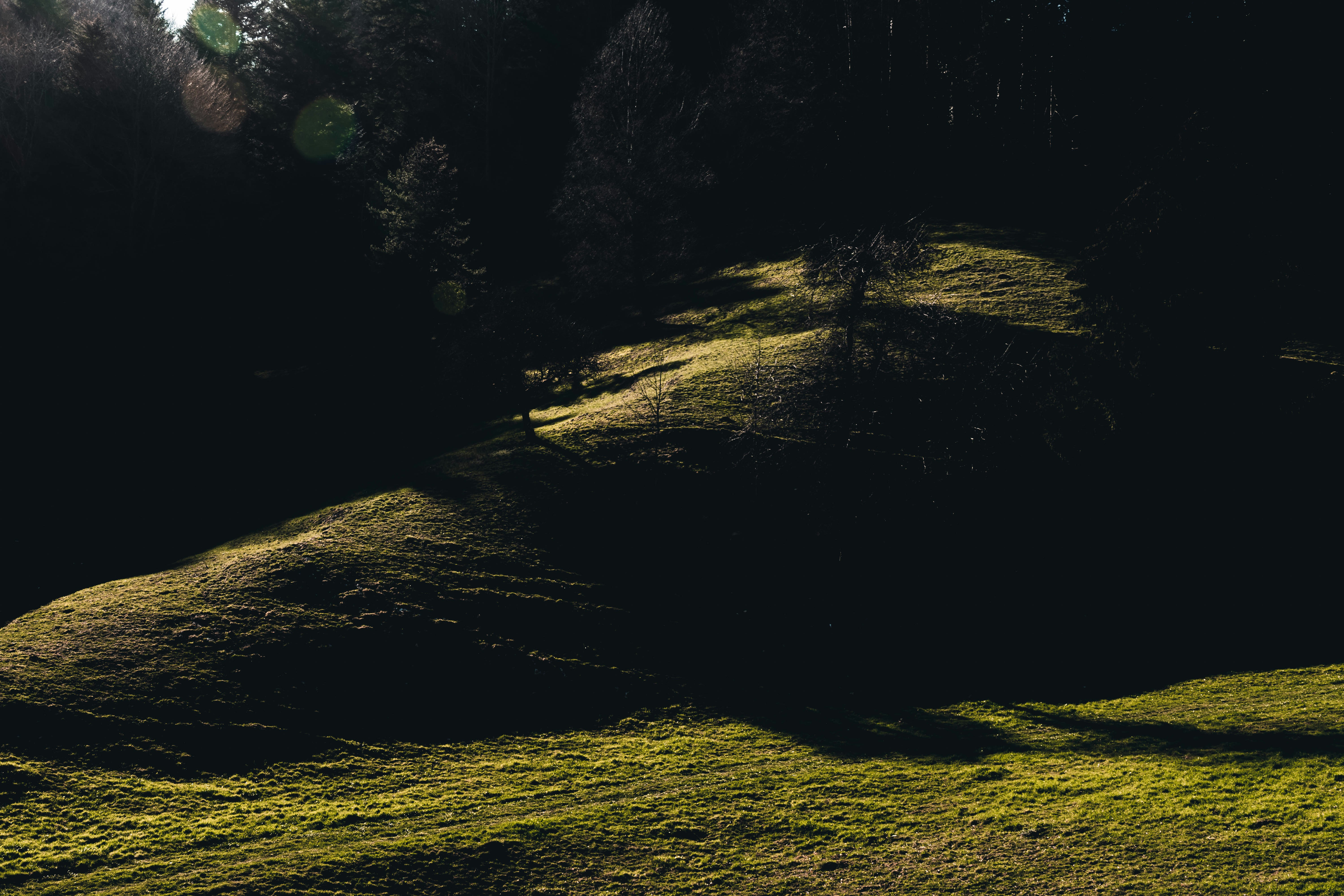 Photo by virussinside