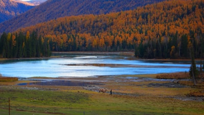 A scenic trail map highlighting a lakeside route perfect for horse rides.