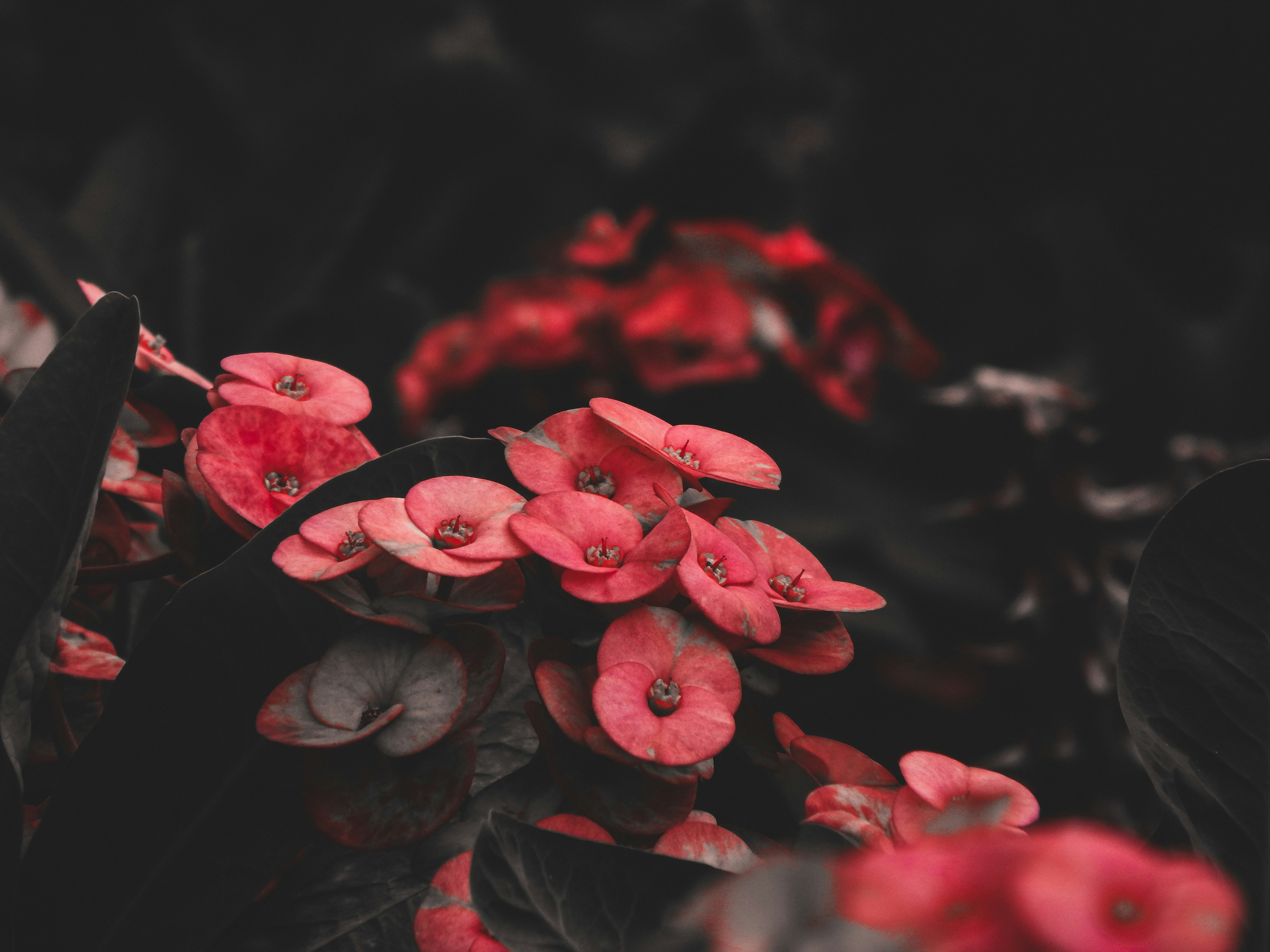 Photo by its__strange__