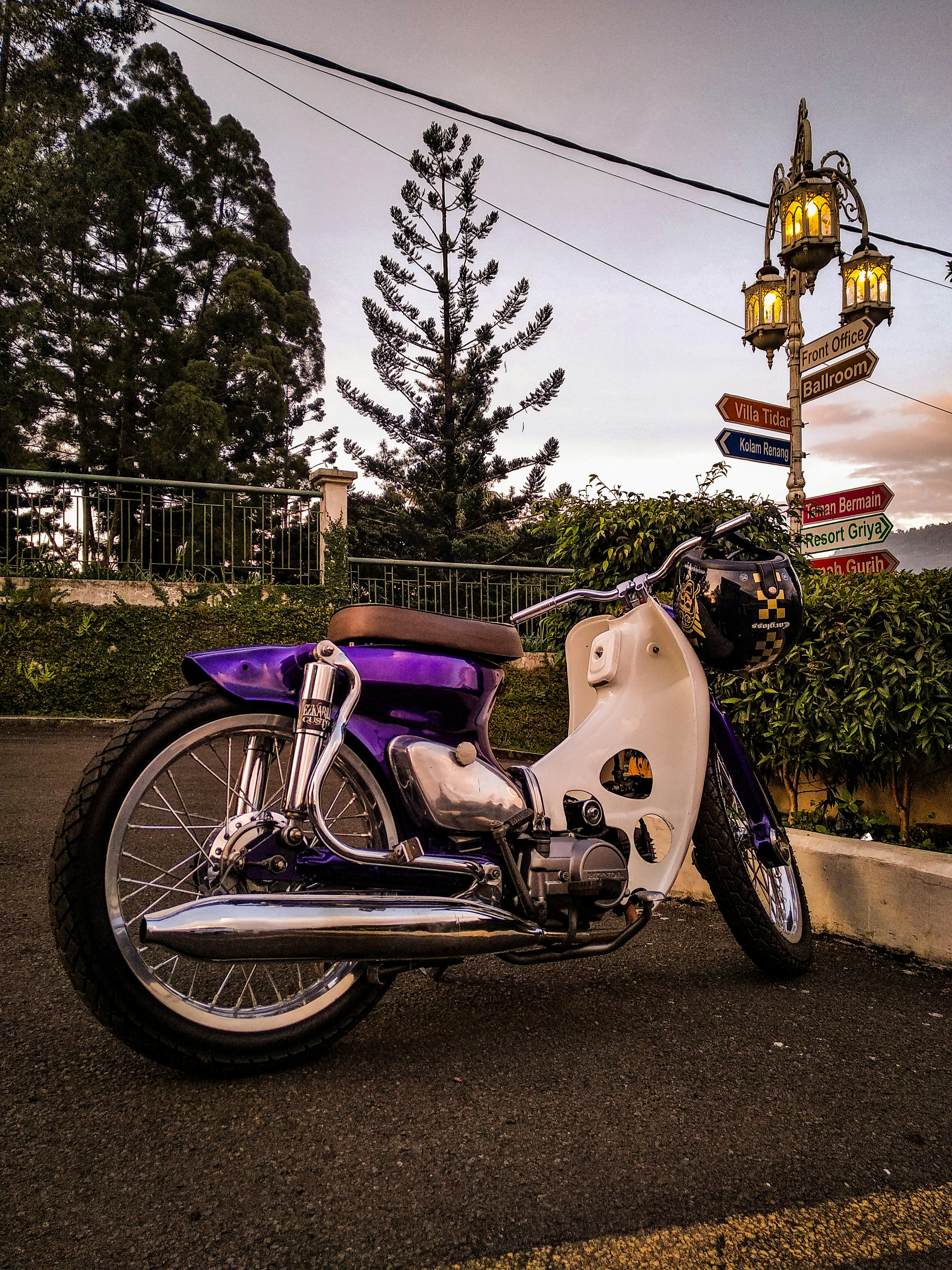 purple mini bike
