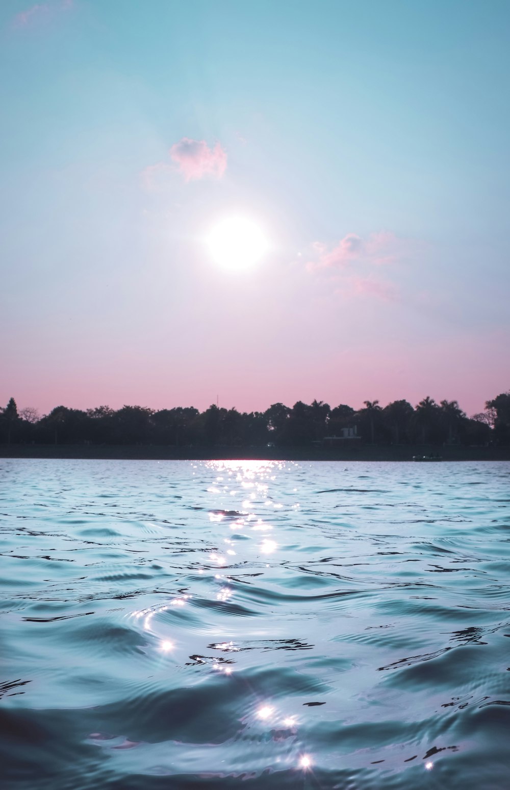 sea near the jungle during daytime