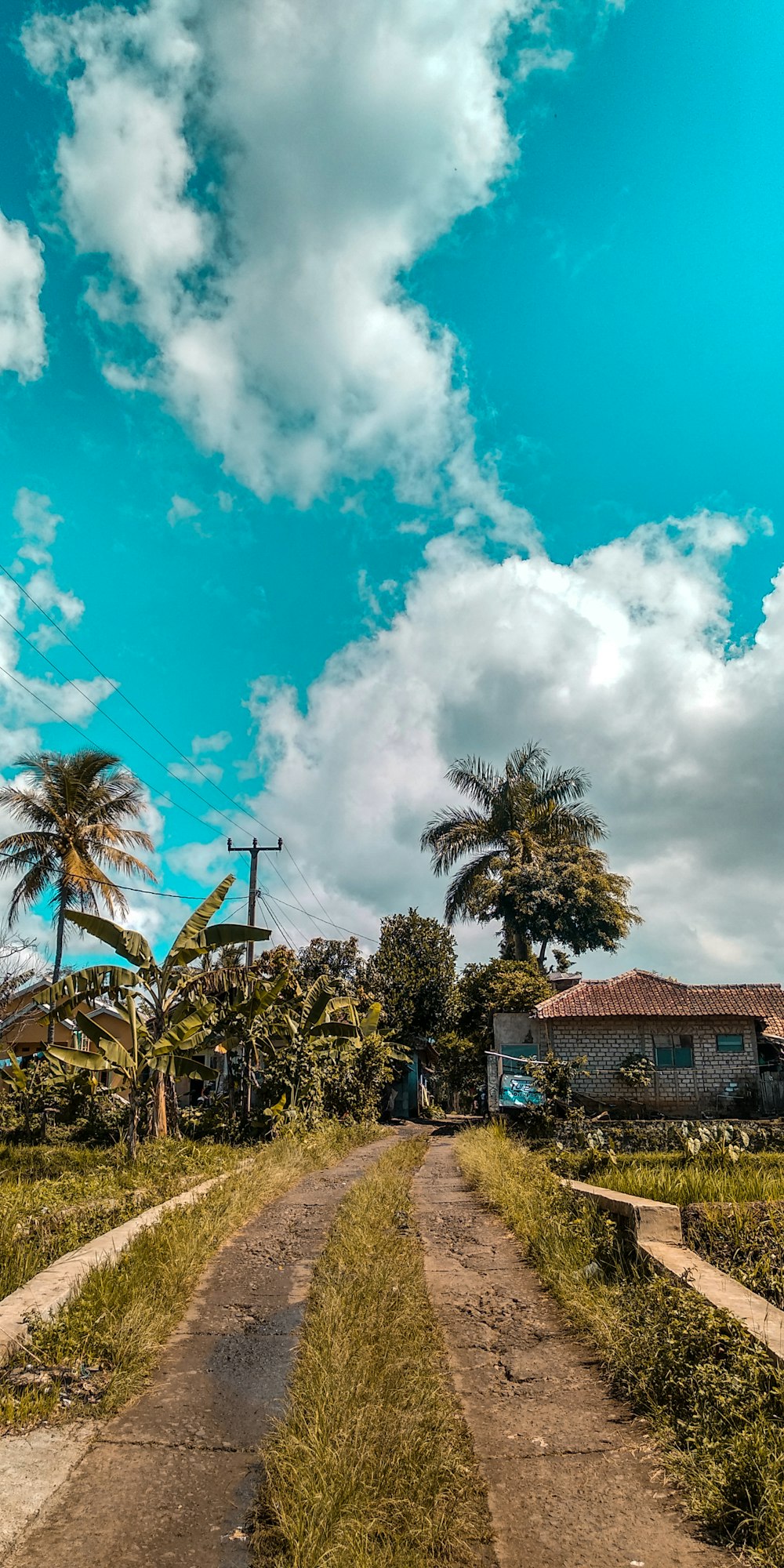 pathway near houses under white and blue skies