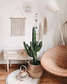 A cozy, minimalist interior space features a wicker chair, a tall cactus in a woven basket, and a small white wooden table with drawers. The room includes bohemian decor elements like a macrame wall hanging and a decorative eye-shaped mirror. A large floor lamp and decorative items such as dried grasses and a wicker lantern add to the laid-back vibe.