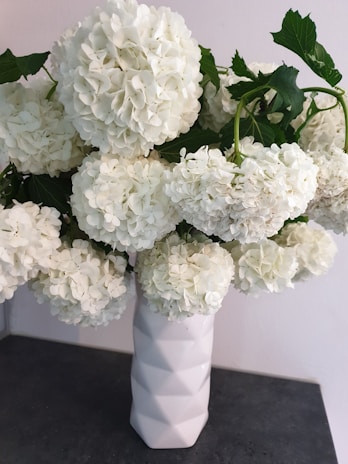 A modern arrangement of blue hydrangeas in a sleek white vase.