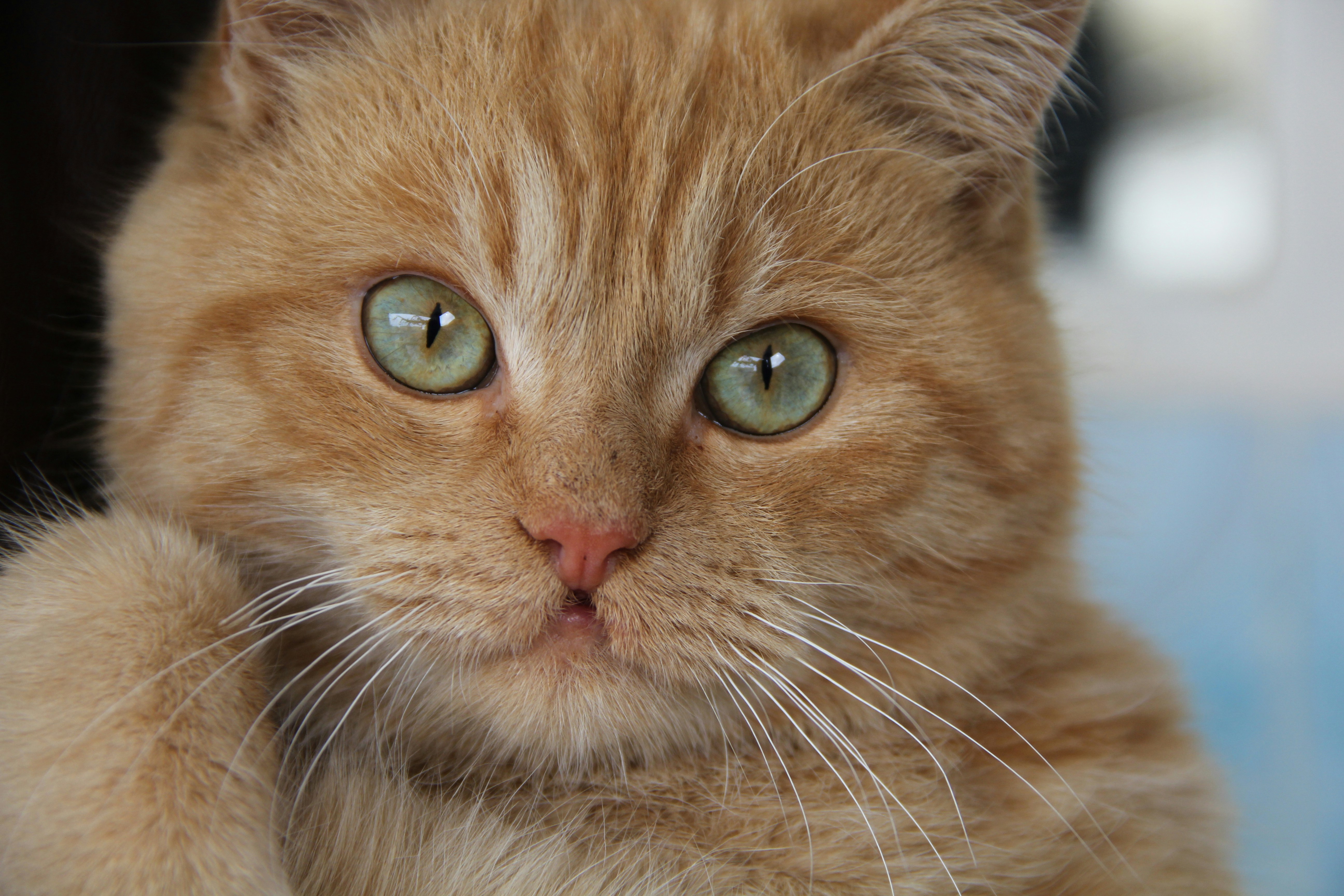 Photo by hassan_ali721